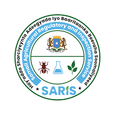 Saris